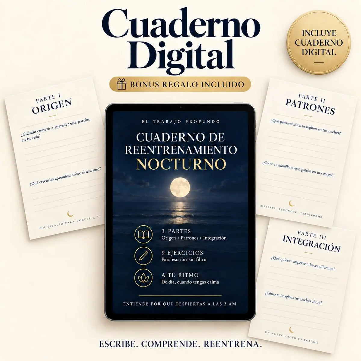 Cuaderno de Reentrenamiento Nocturno